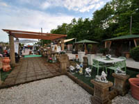 fotogallery